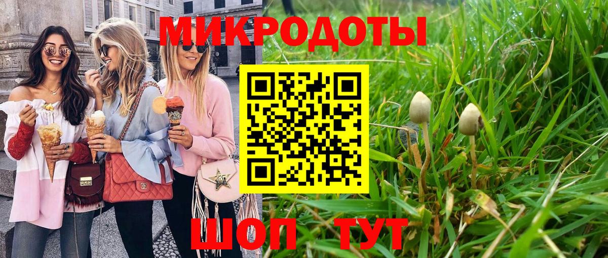 магазин продажи наркотиков  Галлюциногенные грибы Psilocybe  Донецк  Вход с VPN  Псилоцибиновые грибы мицелий 